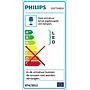 Philips Massive Indy Chandelier Black   Gold