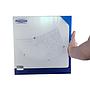 Philips Massive Ivy E27 Ceiling Fixture LED