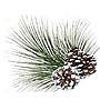 Snow Spray 51g